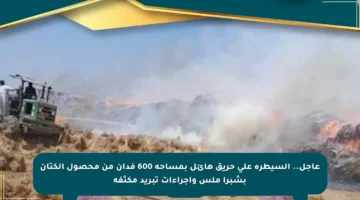 عاجل.. السيطرة على حريق هائل بمساحة 600 فدان من محصول الكتان بشبرا ملس وإجراءات تبريد مكثفة